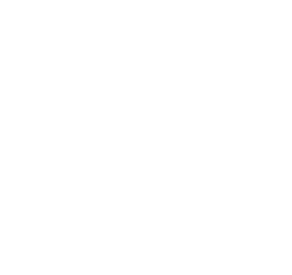 Venue Security + Protect Duty  icon
